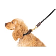 120cm Classic Leather & Cotton Rope Dog Lead